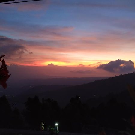 Puri Sunset Homestay Munduk Exterior foto