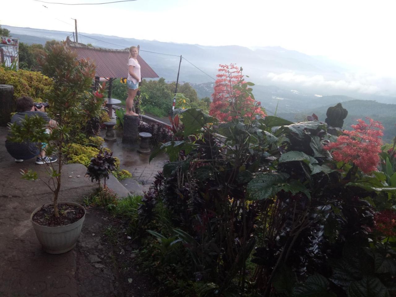 Puri Sunset Homestay Munduk Exterior foto